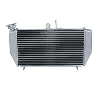 BTFWM Refroidisseur de radiateur moteur moto, for, YZFR3 YZF R3 2015-2021 2020 2019 Radiateur de moto