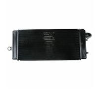 BTFWM Système de refroidissement de radiateur de moteur de moto, for Shadow ACE 750 VT750C 1997-2003 1998 1999 2000 Radiateur de moto