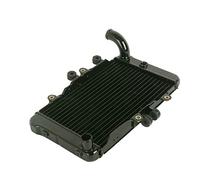 BTFWM Système de refroidissement radiateur moteur moto, for BROS 650 NTV650 BORS400 1988-1990 Radiateur de moto