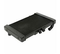 BTFWM Système De Refroidissement Refroidisseur D'eau Radiateur Remplacement Moto, for CB1000 1994-1995 Radiateur de moto