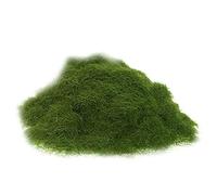 BTGHPI Poudre de velours, 100 ml, modèle de scène miniature, gazon, pelouse, nylon, herbe statique, 5 mm, faux jardin, terrain, loisirs, accessoires