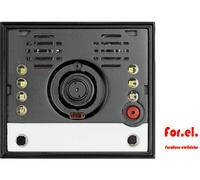 BTICINO 342560 Module Audio/Video 2 Fils Avec Caméra Sphère Classic