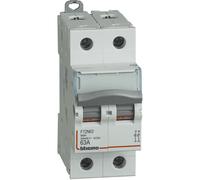 BTicino F72N63 Disjoncteur Modulaire De 63 A - 2P - 2 Modules