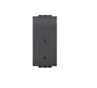 Bticino L4531C Livinglight Module pour prise connectée, anthracite