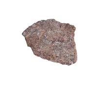 BTMDECOR Spécimen d'os de dinosaure - Fragments minéraux authentiques de 100 g pour collecte, enseignement et affichage d'énergie (2 à 3 cm)