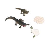 BTOSEP Modèle pour l'apprentissage du Cycle de Vie | Jouet interactif, suscite la curiosité, matière PVC, idéal pour l\'école à la maison