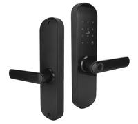 BTOSEP Serrure de porte à empreintes digitales, serrure intelligente étanche pour la sécurité à la maison avec plusieurs méthodes de déverrouillage, 270 x 62 x 23 mm, alliage de zinc