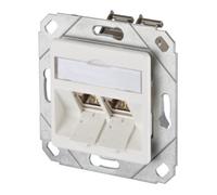 btr BTR NETCOM Boîte de connexion, Cat.6A 2xRJ45, emballage individuel, gris clair TN E-DATmod-2Upk-rws Quantité:1