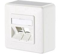 BTR données support du module de prise, AP, surface, 2 ports non équipé blanc pur