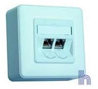 BTR E-DAT modul 8/8(8) AP, reinweiß (RAL 9010) GHMT Cat.6 de-embedded tested