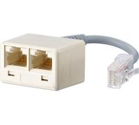 BTR NETCOM 130610480101-E, RJ-45, 2 x RJ-45, mâle/femelle