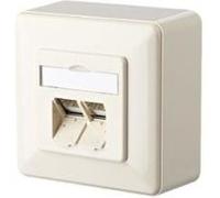 Prise réseau encastré insert avec plaque centrale et châssis CAT 6a 2 ports Metz Connect 130C381002-I blanc pur
