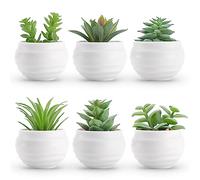 BTSD-home Lot de 6 petites plantes succulentes artificielles en pot pour maison, bureau, étagère, salle de bain