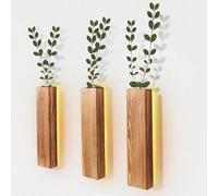 Btstil Lot de 3 vases muraux en bois - Décoration d'intérieur - Jardinières suspendues en bois pour fleurs séchées et plantes vertes artificielles (3 pièces avec lumières LED)