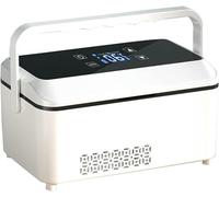 BTURYT Glacière à insuline Réfrigérateur de Voiture Refroidisseur insuline Urgence 2-8°C Réfrigérateur Boîte de Refroidissement de médicaments pour la Maison Refroidisseur de médicaments portab