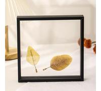BTYQKZVPM Cadre Photo pour la Maison et la décoration Murale Cadre Photo décoratif Flottant en Verre Acrylique Double Face(Black,6 inches 10.2 * 14.2cm:)