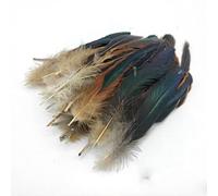 BTYQKZVPM plumes pour sapin de Noël, Paquet de 50 garnitures couture en plumes d'oie, multicolore, largeur 15-20cm(Natural 50pcs)