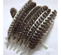 BTYQKZVPM plumes pour sapin de Noël, Plumes d'aigle 20-40 centimètres et paquets de 10, 50 ou 200 pièces(25-30cm 10-12inch,200 Pcs)