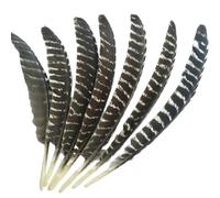 BTYQKZVPM plumes pour sapin de Noël, Plumes d'aigle 20-40 centimètres et paquets de 10, 50 ou 200 pièces(30-35cm 12-14inch,50 Pcs)