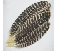 BTYQKZVPM plumes pour sapin de Noël, Plumes d'aigle 20-40 centimètres et paquets de 10, 50 ou 200 pièces(20-25cm 8-10inch,10 Pcs)