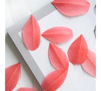 BTYQKZVPM plumes pour sapin de Noël, Plumes de cygne multicolores 5-8 Cm, paquet 50 for décoration fête mariage, fabrication bijoux(Watermelon Red)