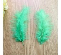 BTYQKZVPM plumes pour sapin de Noël, Plumes de dinde multicolores 4-6 pouces 10-15 cm 50-300 pcs(Grass Gn8,100pcs)