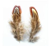 BTYQKZVPM plumes pour sapin de Noël, Plumes de faisan à collier 1,2-2,8 po 3-7 cm paquet multicolore 20 for l'artisanat et les bijoux(Natural)