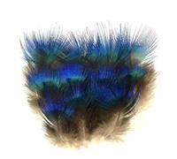 BTYQKZVPM plumes pour sapin de Noël, Plumes de paon naturelles, 1,2 à,8 pouces, 3 7 cm, Pack d'options for l'artisanat, la fabrication bijoux, décor(500 Piece)