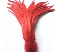 BTYQKZVPM plumes pour sapin de Noël, Plumes de queue Coque coq for décor artisanal multicolore 16-18 pouces 40-45cm 100/20/500 pièces(Red,100 Pcs)