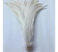 BTYQKZVPM plumes pour sapin de Noël, Plumes de queue Coque coq for décor artisanal multicolore 16-18 pouces 40-45cm 100/20/500 pièces(Milky White,100 Pcs)