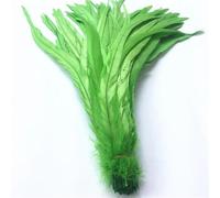 BTYQKZVPM plumes pour sapin de Noël, Plumes de queue Coque coq for décor artisanal multicolore 16-18 pouces 40-45cm 100/20/500 pièces(Fruit Gn8,500 Pcs)