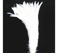 BTYQKZVPM plumes pour sapin de Noël, Plumes de queue Coque coq for décor artisanal multicolore 16-18 pouces 40-45cm 100/20/500 pièces(Snow White,100 Pcs)