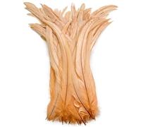 BTYQKZVPM plumes pour sapin de Noël, Plumes de queue Coque coq for décor artisanal multicolore 16-18 pouces 40-45cm 100/20/500 pièces(Champagne,20 Pcs)
