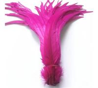 BTYQKZVPM plumes pour sapin de Noël, Plumes de queue Coque coq for décor artisanal multicolore 16-18 pouces 40-45cm 100/20/500 pièces(Rose Red,20 Pcs)