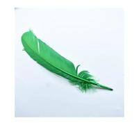 BTYQKZVPM plumes pour sapin de Noël, Plumes multicolores 25-30 centimètres 10-12 pouces paquet de 10 50 100 pièces(Fruit1 Gn8,10 Piece)