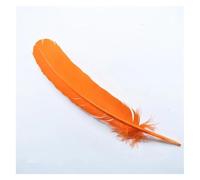 BTYQKZVPM plumes pour sapin de Noël, Plumes multicolores 25-30 centimètres 10-12 pouces paquet de 10 50 100 pièces(Orange,50 Piece)