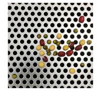 BTYQKZVPM Protecteurs de Drain Ronds, Couvercle de crépine de vidange en Acier Inoxydable 304, Trou de 5 mm, for évier, Douche, Cuisine, Plusieurs Tailles(20x20cm)