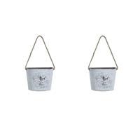 BUAGOUWZ 2X Jardinière Murale à Suspendre, Pot de Fleurs, Panier de Fleurs, Conteneur de Plantes Succulentes, Porte-Fleurs en Métal et en Fer, Décoration de Balcon de Maison