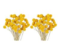BUAGOUWZ 96 Fleurs Séchées BillyBalls Séchées Craspedia Séchées Bouton Fleurs Séchées Jaunes Fausses Fleurs Séchées en Soie
