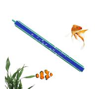 Bubble Bar Pour Aquarium - Pompe à Oxygène à Porte Simple, Ornement Portable Pour Aquarium | Diffuseur à Bulles Avec Barre En Pierre D'air Facile À Installer, Décoration De Barre Avec Diffusion