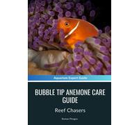 Bubble Tip Anemone Care Guide: Reef Chasers
