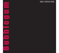 Bubblegum 20th Anniversary