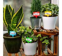 Bubblegum Stuff - Badges nominatifs pour plantes - Outils de jardin, ensemble d'outils, étiquettes de plantes pour plantes d'extérieur, étiquettes de plantes pour semis, matériel de jardinage,
