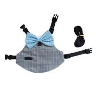 BUBEFSKD Harnais Et Laisse pour Lapins Accessoire De Marche Thème Costume À Pois La Sécurité des Animaux Compagnie Ensemble Petits Animaux Et Laisse La Marche en Plein Air