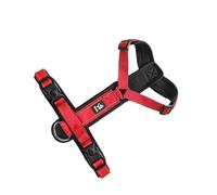 BUBEFSKD Harnais pour Chiens À La Mode Laisse Réglable en Nylon Animaux De Compagnie Corde Traction Arrière Points Réfléchissants Laisse Chat Fournitures Animaux Compagnie