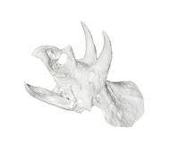 BUBEFSKD Tête de dinosaure parc marin pont grotte pour animaux marins à base de maïs naturel/PETG Additif d'habitat non mortel Supplément de parc marin décomposable