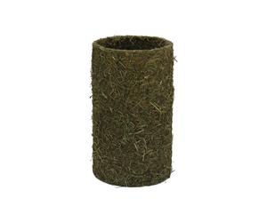 Bubimex - 2064 - Tunnel de Foin pour Lapin et cobaye Ø13cm/25cm - Vert - 380g