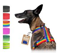 bub's Not Pull, Harnais pour Chien de Grande Taille avec système Anti-Traction (contrôle Taille : Cou 43 à 74 cm, Poitrine de 59 à 94 cm) (Rainbow)