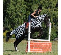 Bucas Couvre-mouches d'équitation Buzz-Off Riding Zebra Zebra 125