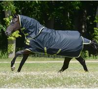 Bucas Outdoordecke 100g Oasis Turnout 100 + Neck Grey/Lime 140
